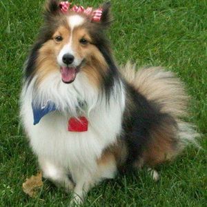 Meet your Posher, Deborah